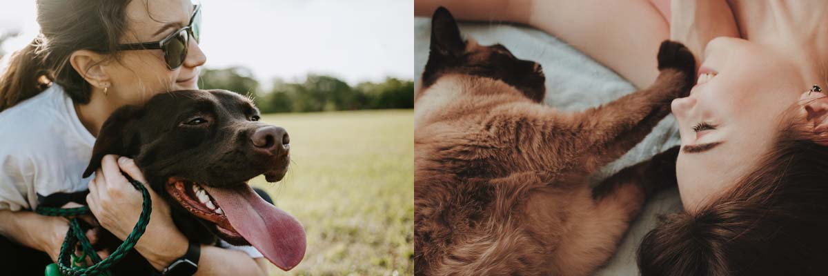 pet-insurance