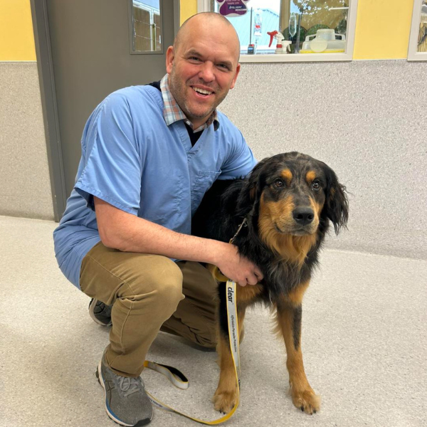 Veterinarian Dr Jameson Ketchmark smiling beside a tan and black Border Collie at Avonhead Veterinary Clinic.